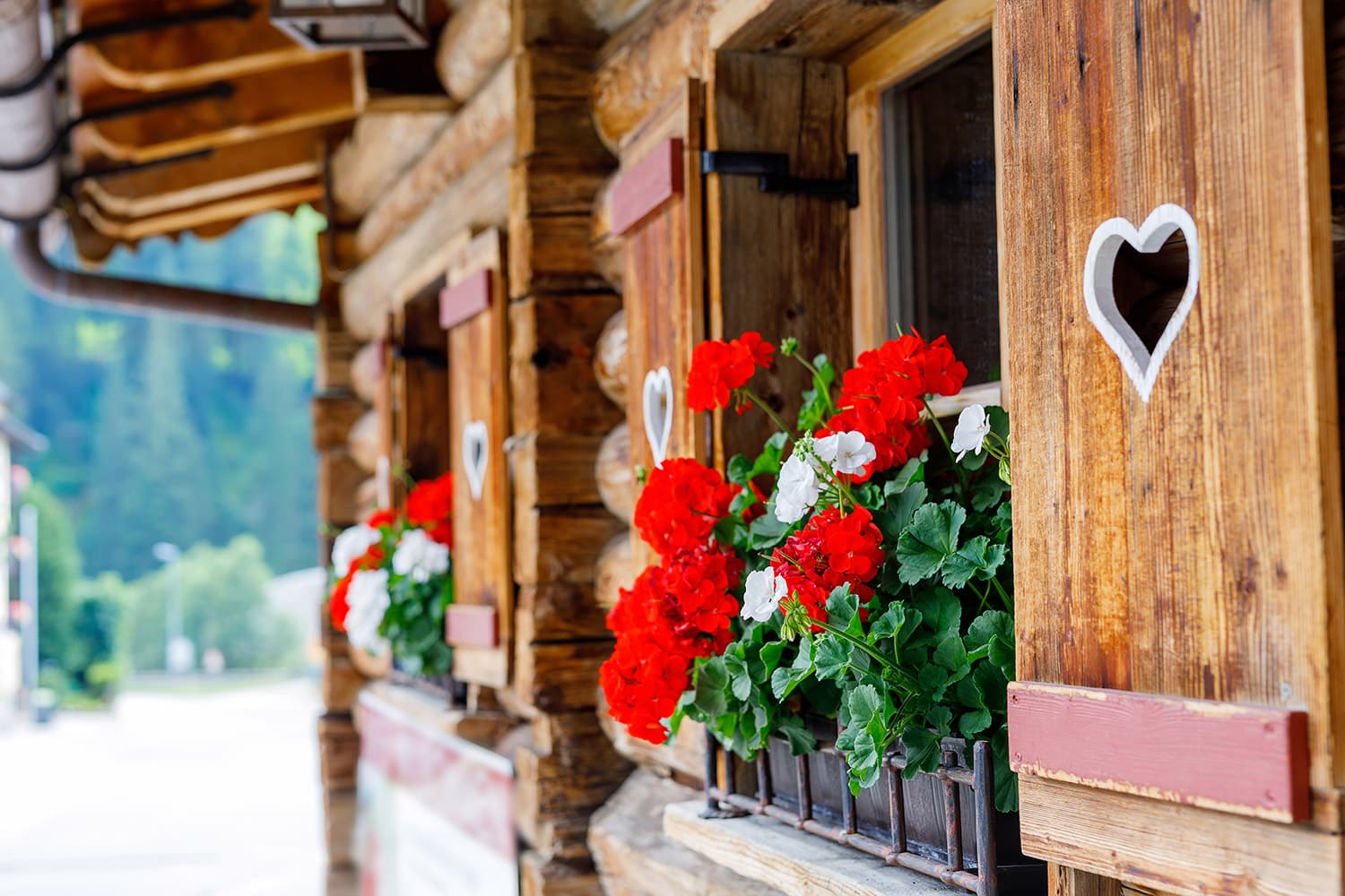 Natururlaub im Landhotel