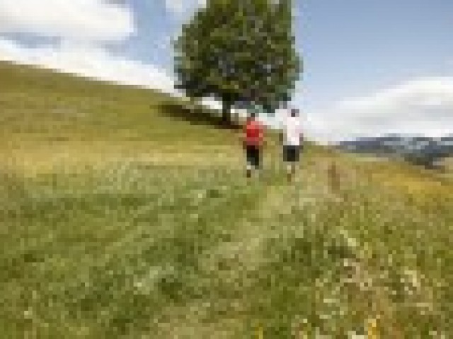 Bergmannsegghof